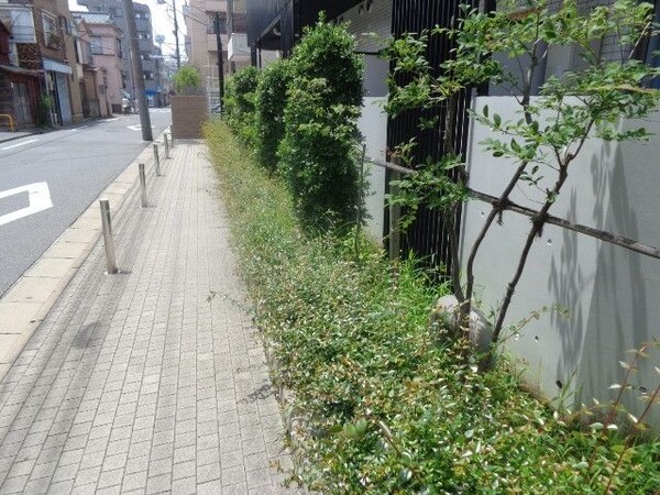 庭(植栽)