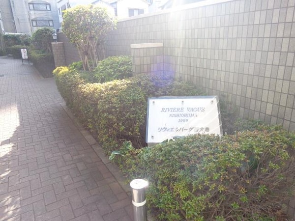 庭(植栽)