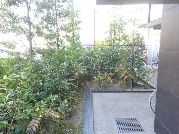 庭(植栽)