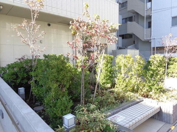 庭(植栽)