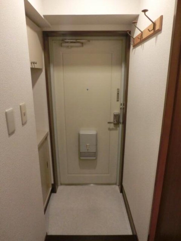 玄関(シューズBOX完備の明るい玄関)