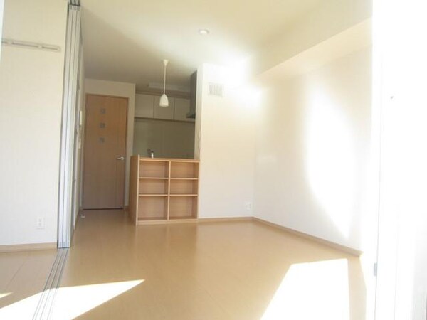 その他室内・内装(ＬＤＫ１０帖ありますので、広々と家具を配置できます)