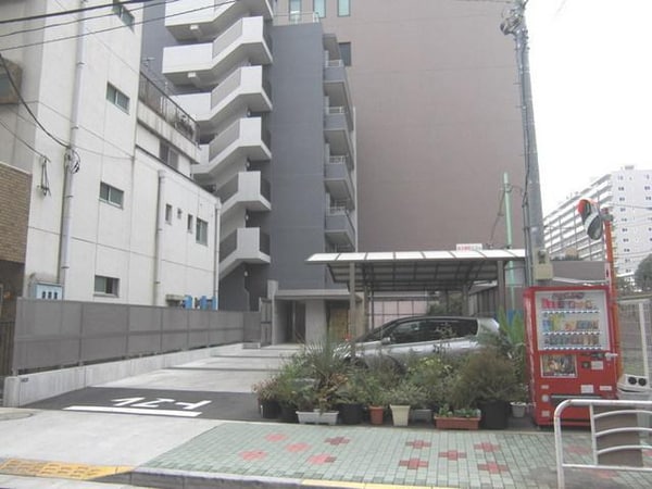 玄関(植栽)