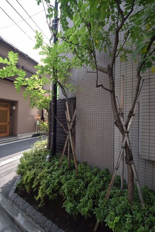 庭(植栽)