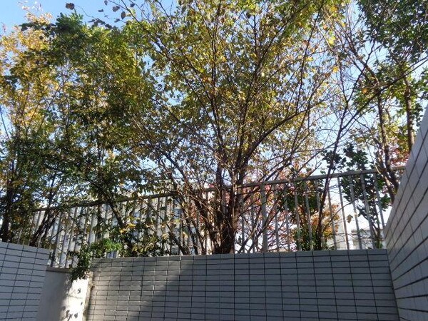 眺望(バルコニーからの景色)