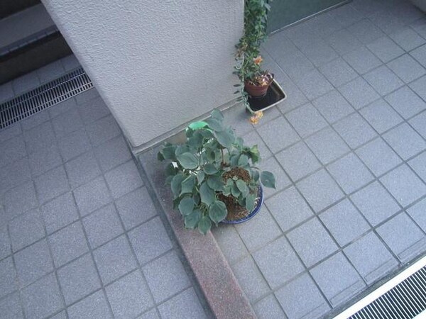 共有部分