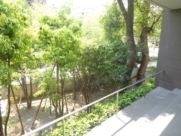 庭(植栽)