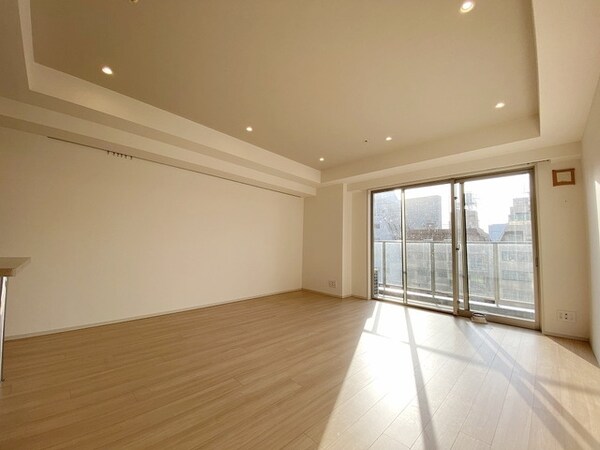 リビング・居室(お問合せは(株)タウンハウジングレジデンス事業部　赤坂店・…)