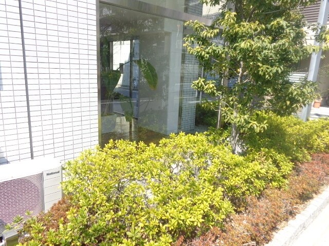 庭(植栽)