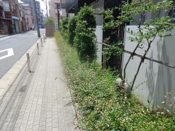 庭(植栽)
