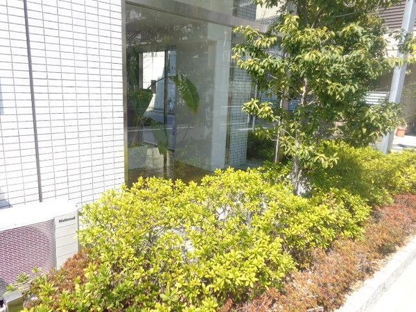 庭(植栽)