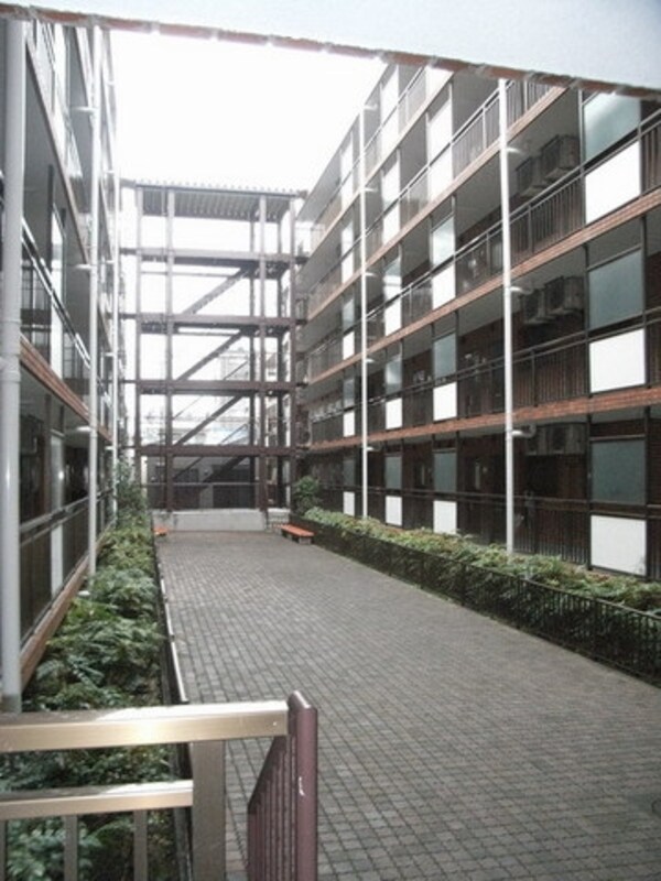 庭(植栽)