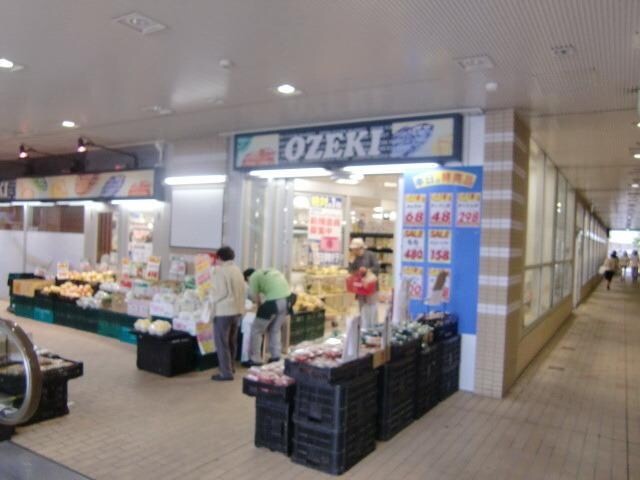 オオゼキ