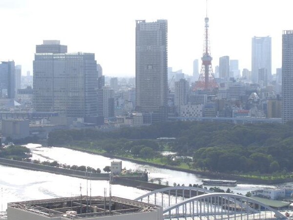 眺望(東京タワーが一望できます)