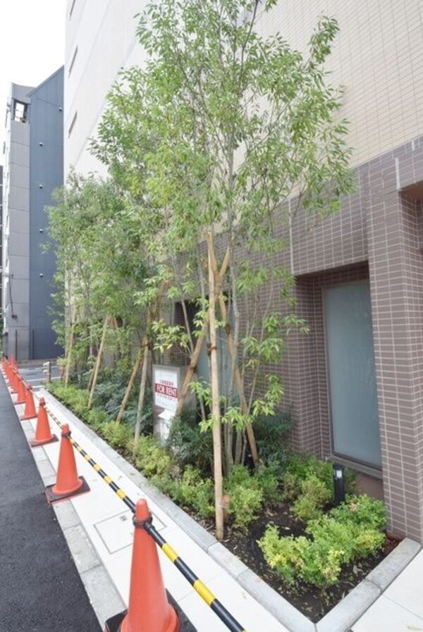 庭(管理の行き届いた植栽)