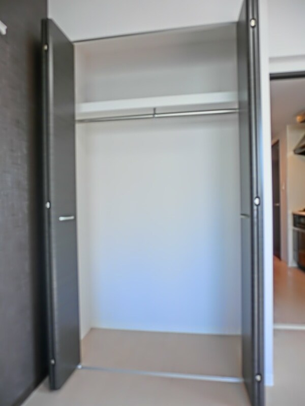 収納(大型クローゼット完備)