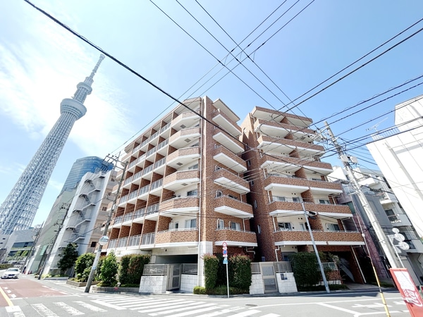 外観(外観)