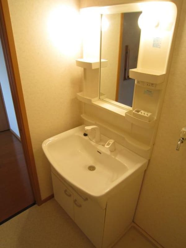 洗面(シャンプードレッサー付き)