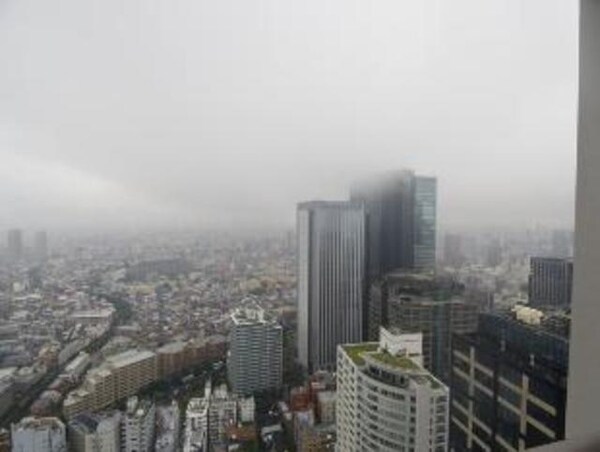 眺望(お問合せは(株)タウンハウジング東京へ)