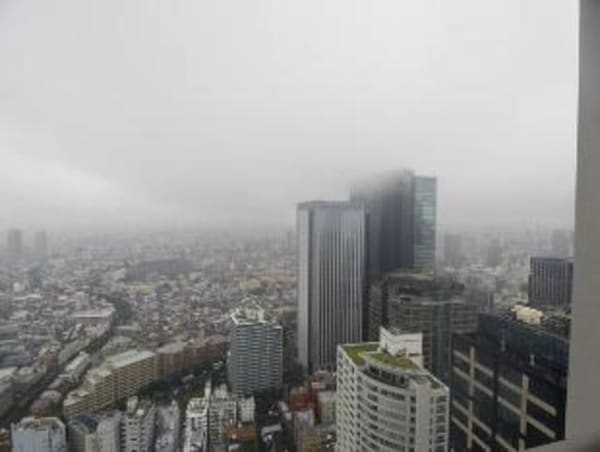 眺望(お問合せは(株)タウンハウジング東京へ)