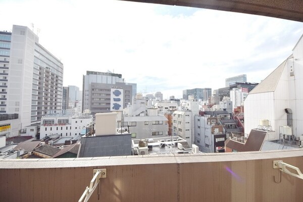 眺望(お問合せは(株)タウンハウジング東京へ)