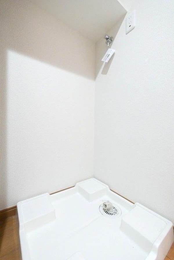 庭(その他)