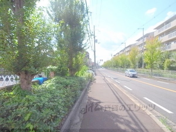 その他(前面道路)