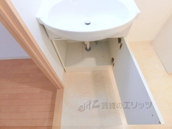 洗面(収納下部)