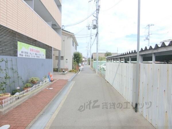 その他(前面道路)