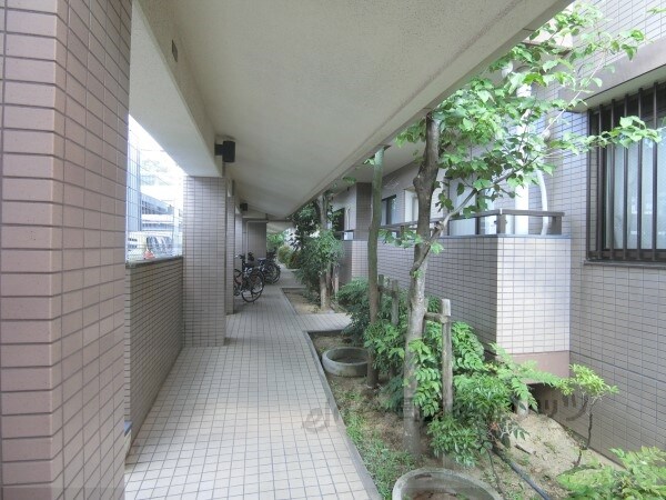 エントランス(通路)