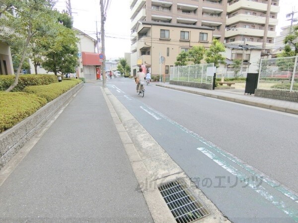 その他(前面道路)