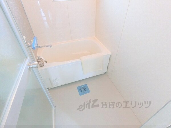 バス／シャワールーム等(風呂)