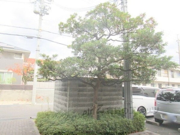 その他(植栽)