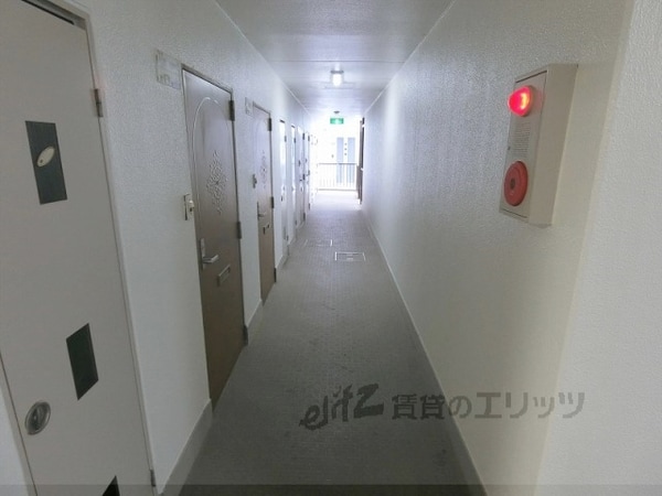 共有部分(廊下)