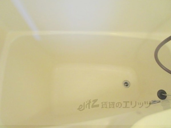 バス／シャワールーム等(風呂)