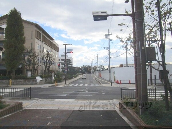 その他(前面道路)