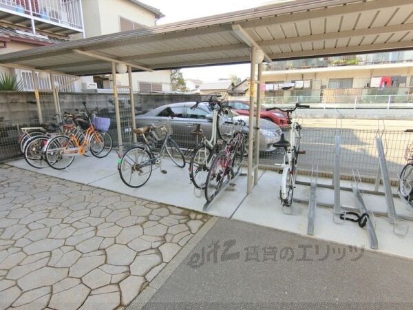 駐車場(駐車場)