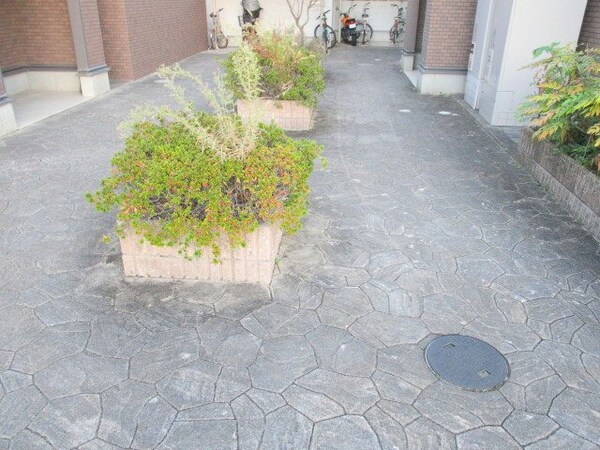 庭(庭)