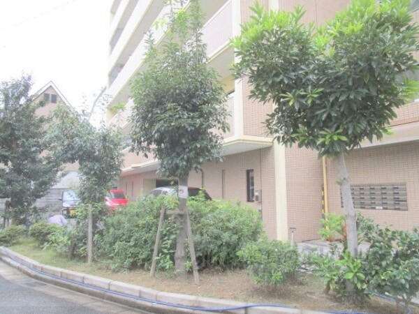 その他(植栽)