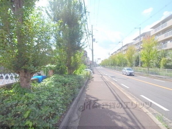 その他(前面道路)