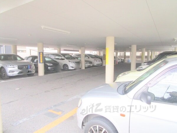 駐車場(駐車場)