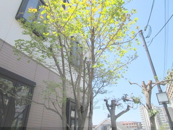 その他(植栽)