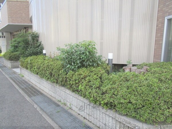 その他(植栽)