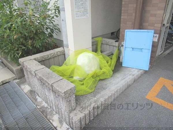 設備(ゴミ置き場)