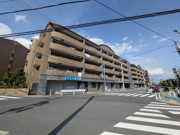 外観(外観)