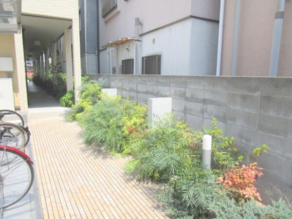 庭(植栽)