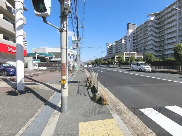 その他(前面道路)