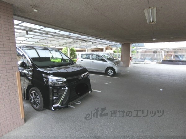 駐車場(駐車場)