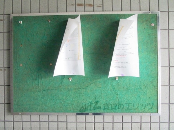その他(掲示板)