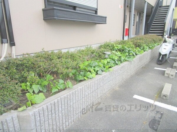庭(植栽)